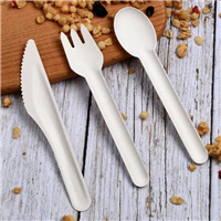 biodegradable  paper cutlery from disposablesInc.com. The best import service in China. Import your disposable items and products from us.